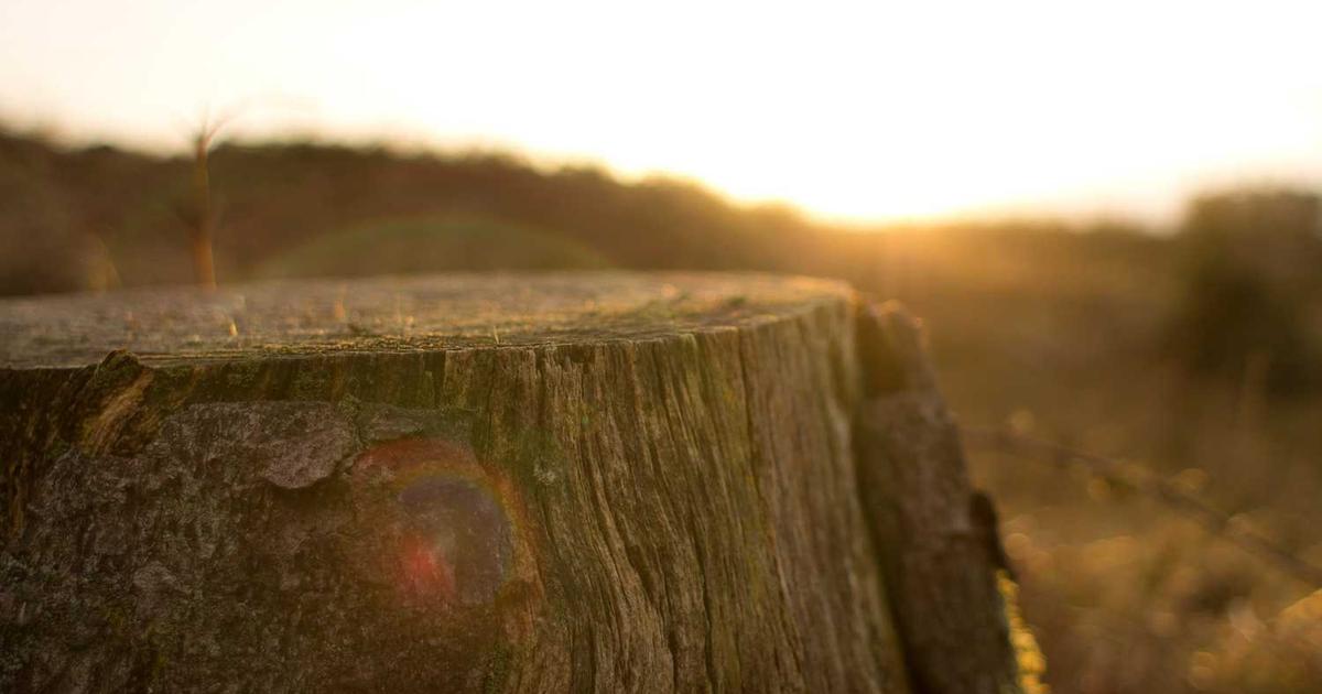 Chittagong Facebook Ads Expert: Dominate Local Leads