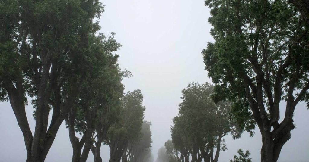 featured chittagong website design get a stunning site 1763921531