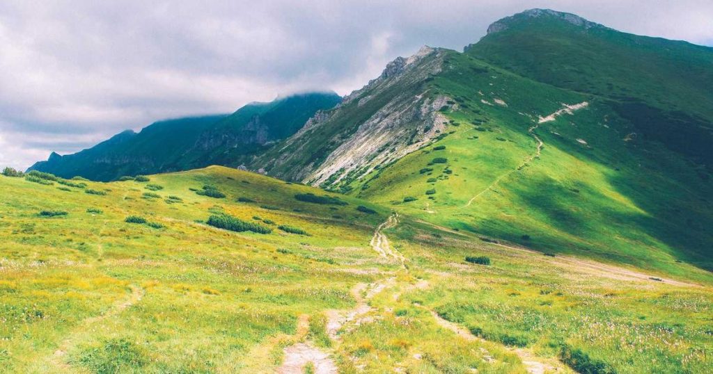 featured find the best business branding agency near me 1763957589