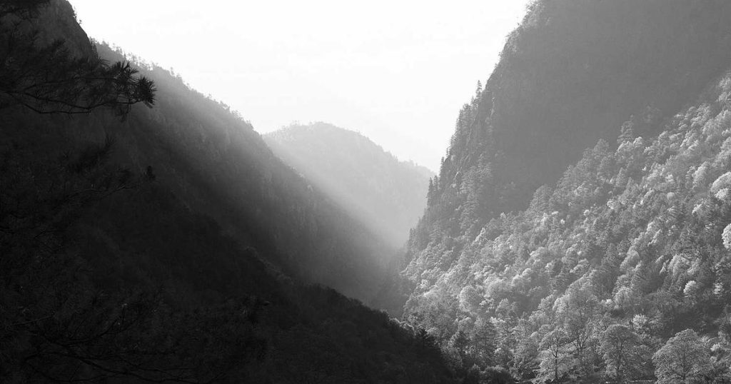 featured it solutions bangladesh find your perfect provider 1764104121