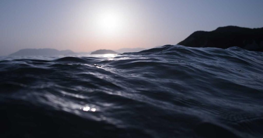 featured top web design agency in chittagong find the best 1764272496