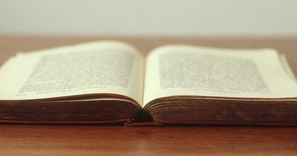 featured top social media agency chittagong get found 1764767854