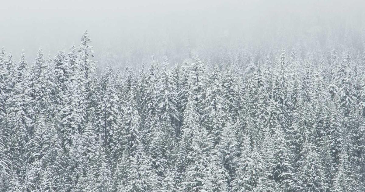 Top WordPress Development Company Bangladesh? Find Out!